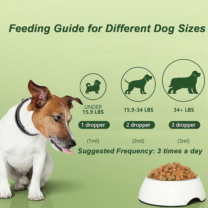Natural Antibiotic for Dogs – Chicken Flavor 2oz | Supports Relieve Skin Allergy itching and Yeast infections, Urinary Tract Health, Wound Healing & Dental Care |Dog Supplements, Safe for All Ages