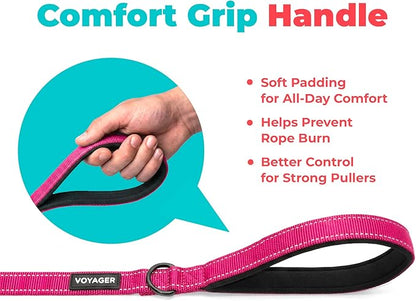 Best Pet Supplies Voyager Reflective Dog Leash or Collar with Neoprene Handle, for Small, Medium, and Large Breed Puppies, Cute and Heavy Duty for Walking, Running and Training - Fuchsia (Leash), S