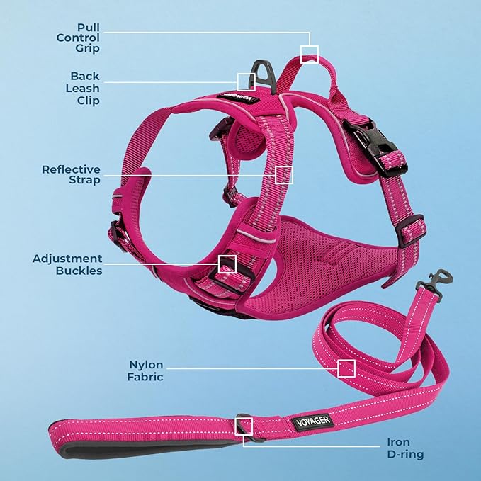 Voyager Dog Harness Dual Leash Attachment No-Pull Control Adjustable Soft but Strong Pet Harness for Medium and Large Dogs with 3M Reflective Technology, Leash Set Fuchsia Nylon, L (Chest: 25-30")