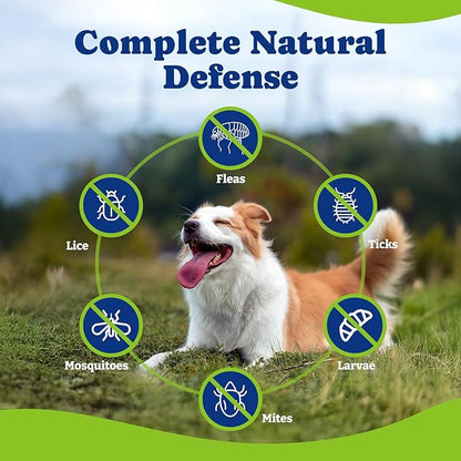 Flea & Tick Prevention for Dogs Chewables, Natural Dog Flea and Tick Control Treatment, Oral Flea Pills, Dogs Supplement, Natural Shield 5-in-1 Protection, Beef & Carrot Flavor, 70 Soft Chews