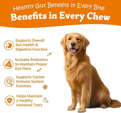 Probiotics for Dogs - Digestive Enzymes for Gut Flora, Digestive Health, Diarrhea & Bowel Support - Clinically Studied DE111 - Dog Supplement Soft Chew for Pet Immune System - Chicken