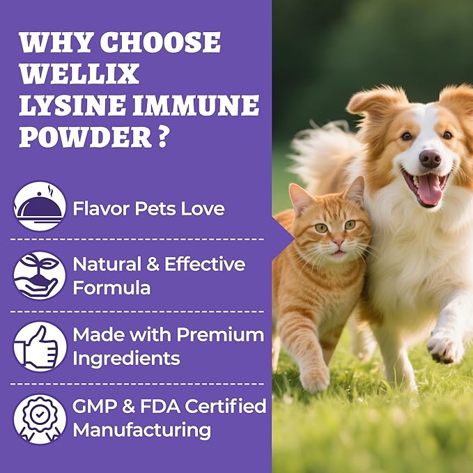 Wellix 7.05oz Lysine Powder for Cats & Dogs with Colostrum & Taurine for Dogs & Cats - Immune Support Supplement with Quercetin & Multivitamin for Respiratory Health, Coughing Treatment