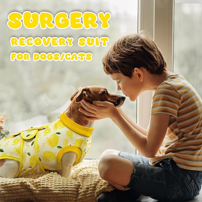 Dog Surgery Recovery Suit, Abdominal Surgical Suit for Male Female Dog Post Spay Neuter, Breathable Pet Onesie E-Collar & Cone Alternative, Surgery Shirt to Prevent Licking, Yellow, X-Large