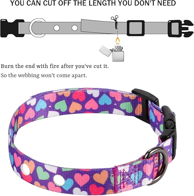 Rhea Rose 3/4 Inch Replacement Collar Strap Shock Collar with 2 Holes, Compatible with Nearly All Brands and Models of Underground Electric Dog Fences and Training Collars, Heart Print Pattern