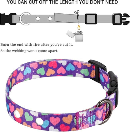 Rhea Rose 3/4 Inch Replacement Collar Strap Shock Collar with 2 Holes, Compatible with Nearly All Brands and Models of Underground Electric Dog Fences and Training Collars, Heart Print Pattern