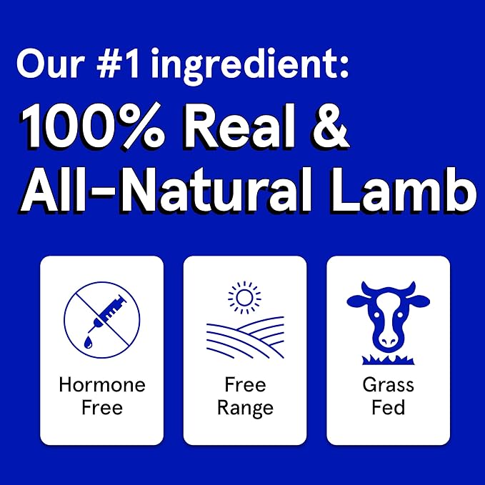 Real Meat Dog Treats - Two 12oz Bag of Bite-Sized Air-Dried Lamb Jerky for Dogs - Grain-Free Jerky Dog Treat Made up of 95% Free-Range, Grass Fed Lamb - All-Natural High Protein Dog Treat