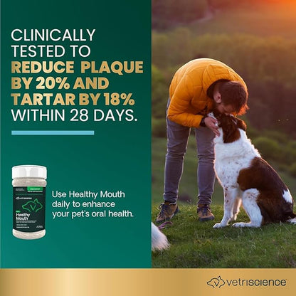 VetriScience Dental Care Powder,Perio Support Clinically Tested Dental Supplement for Small,Medium and Large Breed Dogs,Freshen Breath,Control Plaque and Tartar,Oral Health,4.2 oz,(Pack of 2)