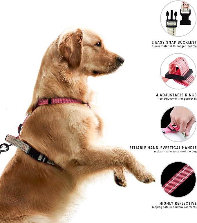 Roses&Poetry Puppy Dog Harness and Leash Set, No Pull Dog Harness Adjustable Reflective, Dog Halter Harnesses Comfort Padded Handle, Pet Harness for Training Outdoor Walking（Pink-XS