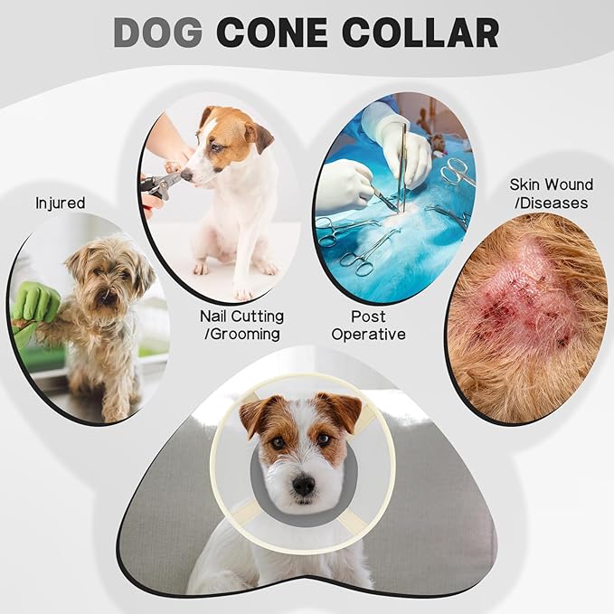 Soft Dog Cone Collar to Stop Licking-Adjustable Comfortable Mesh Recovery Collars After Surgery for Small or Miniature Dogs, Alternative to Plastic Elizabethan Collar for Neuter Incision Care (Grey,M)