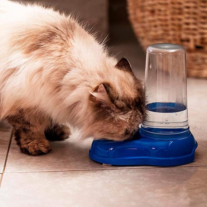 Ferplast Food or Water Dispenser for Dogs and Cats AZIMUT 600 Pet Dispenser Dry Food Feeder Water Feeder 0,6 Liter, Non-Slip Bottom, 12,5 x 19 x h 19,5 cm White