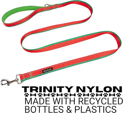EcoBark Dog Leash - Soft & Reflective Comfort Leash with Padded Handle - Safe, Strong, & Durable for Small, Medium or Large Dogs (Watermelon)