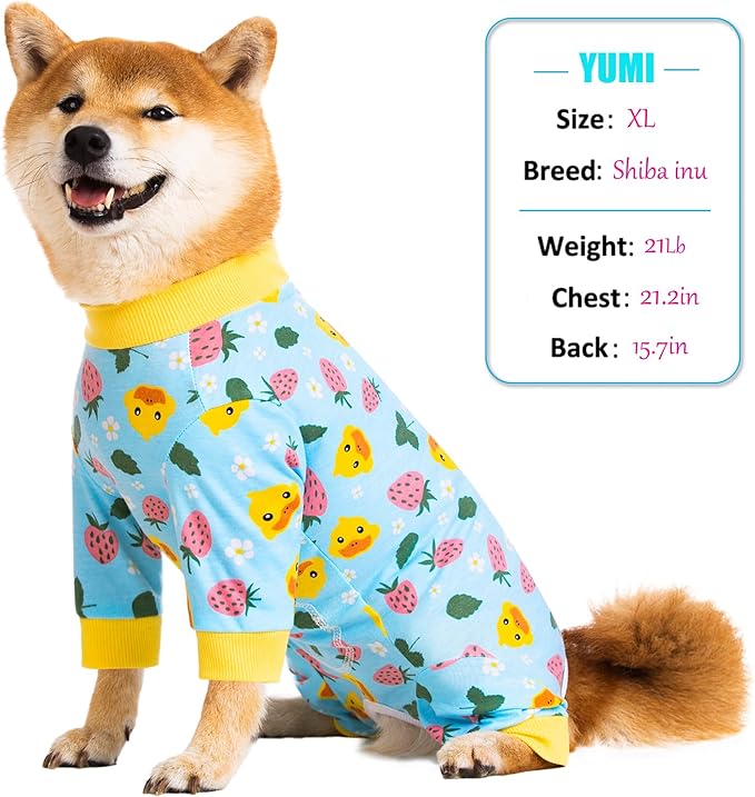 Dog Recovery Suit for Small Medium Large Dogs, Pet Onesie After Surgery Comfort Dog Bodysuit Anti Licking (Large, Blue)