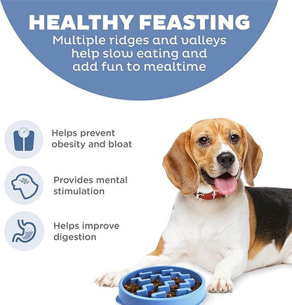 Outward Hound Fun Feeder Slo Bowl – Medium 2‑Cup Capacity, Slow Feeding, Small to Medium Dogs & Cats, Non-Slip, Blue, Notch Pattern