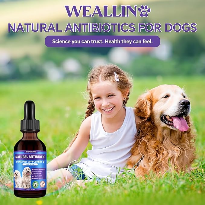 Dog Antibiotics Support - Natural Antibiotics Care for Dogs Herbal Supplement for Cough Allergy Itch Relief Immune Support Dog UTI Comfort for All Breeds & Ages - 60 ml/2 Fl Oz Bacon Flavor