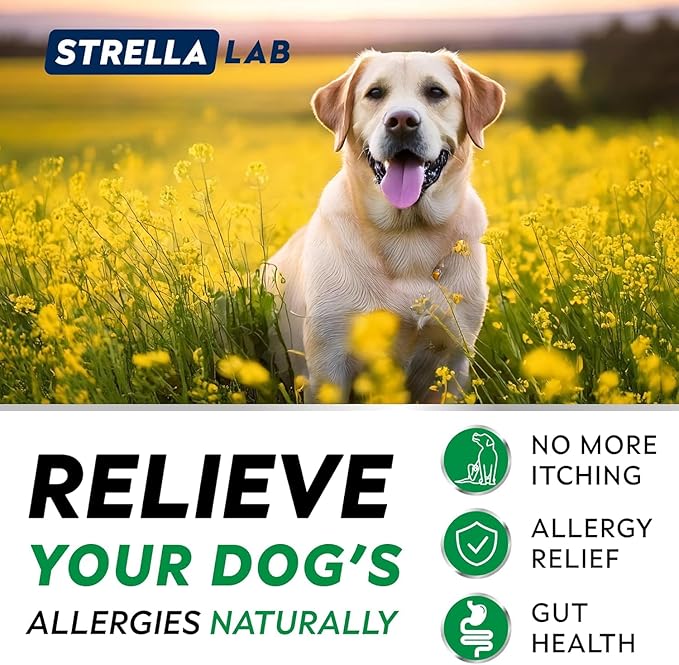 StrellaLab Dog Allergy Relief & Anti Itch Support Chews w/Omega 3: Real Ingredients, Real Taste! Skin & Coat Immune Supplement w/Fish Oil, Pumpkin & Enzymes - Made in USA - 240 Chews