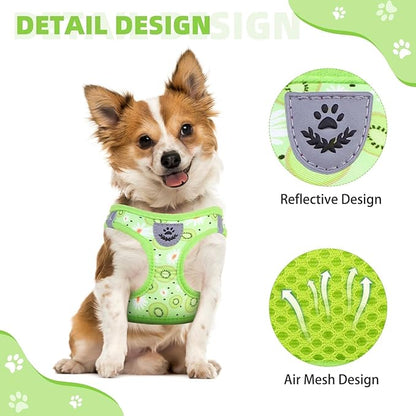 KOOLTAIL Dog Harness and Leash Set for Small Medium Dogs, Step in No Pull Soft Mesh Dog Harness Comfort Padded Pet Vest, Adjustable Reflective Easy Walking Puppy Cats Harness Training, Kiwifruit XS