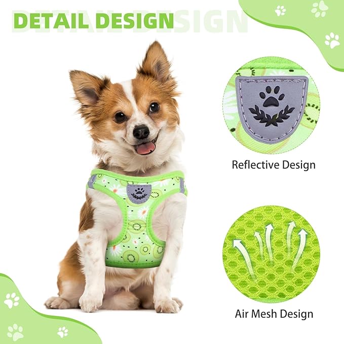 KOOLTAIL Dog Harness and Leash Set for Small Medium Dogs, Step in No Pull Soft Mesh Dog Harness Comfort Padded Pet Vest, Adjustable Reflective Easy Walking Puppy Cats Harness Training, Kiwifruit S