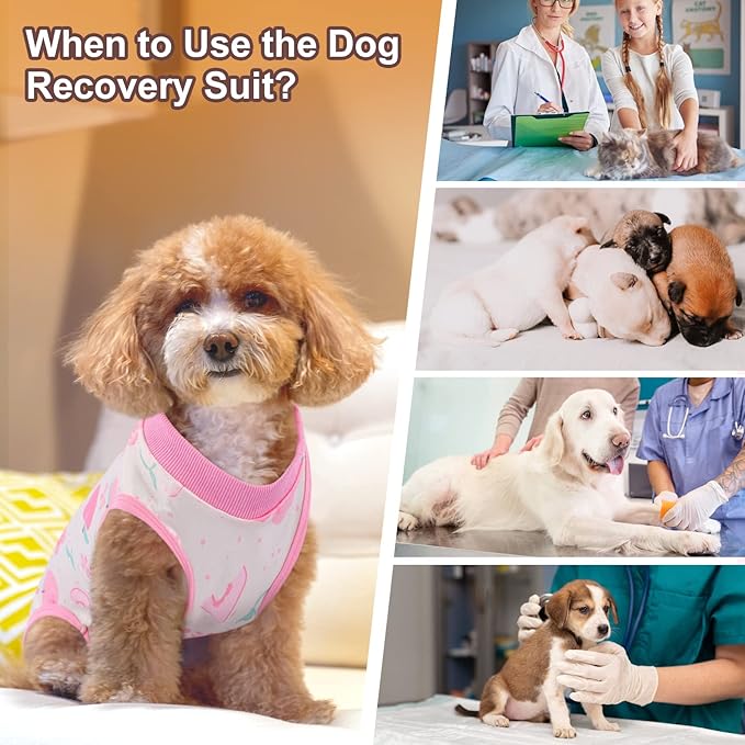 SAWMONG 2 Pack Recovery Suit for Dogs After Surgery, Dog Recovery Suit Soft Polyester, Pet Spay Surgical Suit Female Male, Dog Onesie Body Suit Substitute E-Collar Cone(Strawberry+ Peach,M)