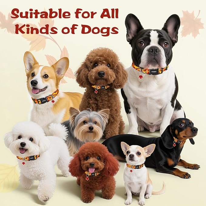 Kazazoo Dog Collar Cute and Soft Nylon Puppy Collar for Boy and Girl, Adjustable Dog Collars for Small Medium Dogs, Maple Leaf-M