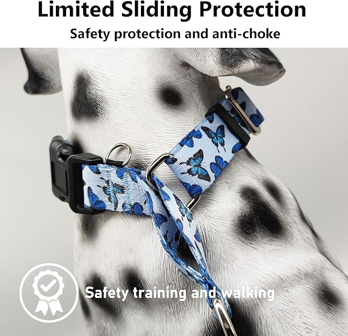 Martingale Collar for Dogs with Buckle Nylon Slip No Pull Training Dog Collars (Blue Butterfly, XLarge)