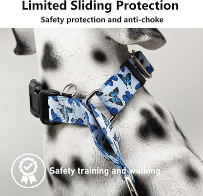 Martingale Collar for Dogs with Buckle Nylon Slip No Pull Training Dog Collars (Blue Butterfly, XSmall)