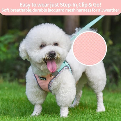 AIITLE Teacup Puppy Harness with Leash - Adjustable Soft Vest with Magic Tape & Reflective Safety Strips, Easy-Put-On for Poodles, Pomeranians - Gym, Hiking, Travel (Turquoise-Pink, S)