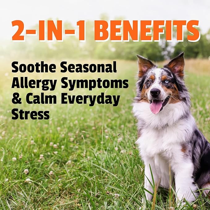 Pet Naturals Allergy Plus Calming Soft Chews for Dogs, Support for Seasonal Allergies, Paw Licking, Itchy Skin, Everyday Stress, Skin Health & Immune Health, 60 Count