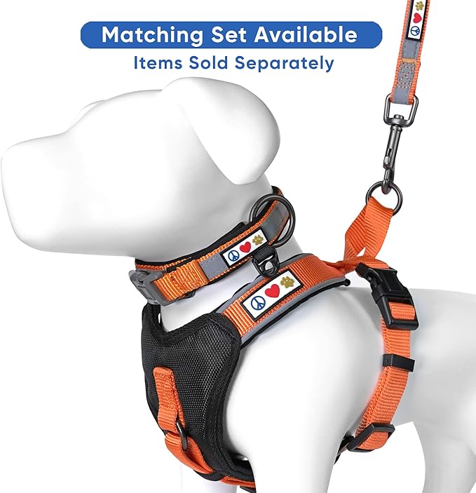 Pawtitas Lumberjack Padded Martingale Collar for Dogs | Soft Neoprene Dog Collar for Your pet's Comfort Made with Reflective Band for Maximum Visibility | Fits Small and Large Pets - Small Orange