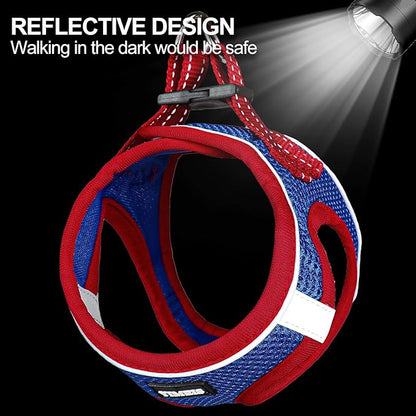 Dog Harness for Small Dogs and Leash Set, Honeycomb Grid, Reflective Lightweight Harness & Anti-Twist Pet Lead Multi Color, Size: XS-S-M. (M, Red & Blue)