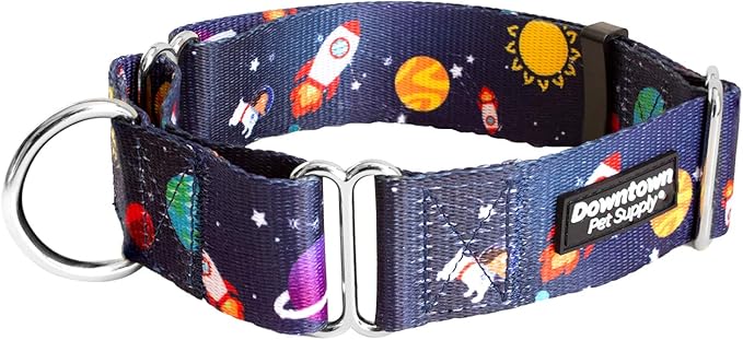 Downtown Pet Supply - Martingale Collar for Dogs - Dog Training Collar - Big, Wide & Thick Dog Collar - Escape-Proof, Weatherproof, Durable and Comfortable - Space - Large Dog Collar