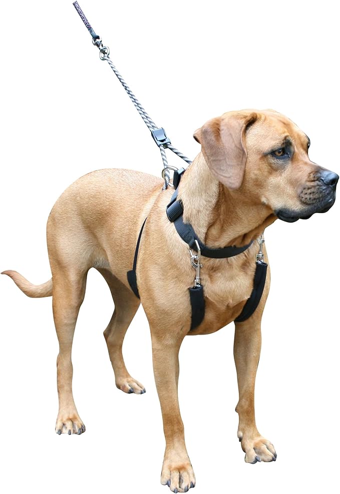 Sporn Big Dog Halter X-Large, Black