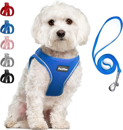 PetiFine Step in Small Dog Harness and Leash Set, Breathable All Weather Air Mesh Reflective Escape Proof, Step-in Vest Harnesses for Puppy(S, Baby Blue)