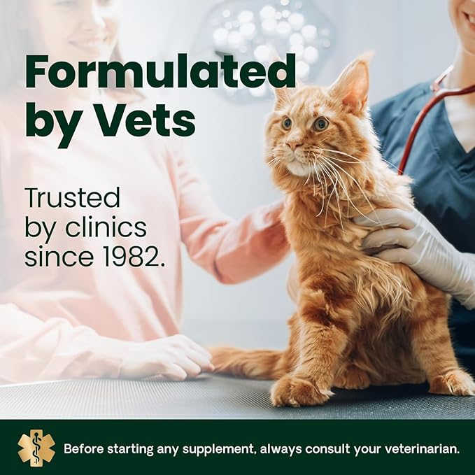 VetriScience UT Health Powder, UT Strength Cranberry D-Mannose Bladder and Urinary Tract Supplement for Cats, Bromelain and Probiotics, Healthy Mineral Balance, Chicken & Cheese, 60 Scoops