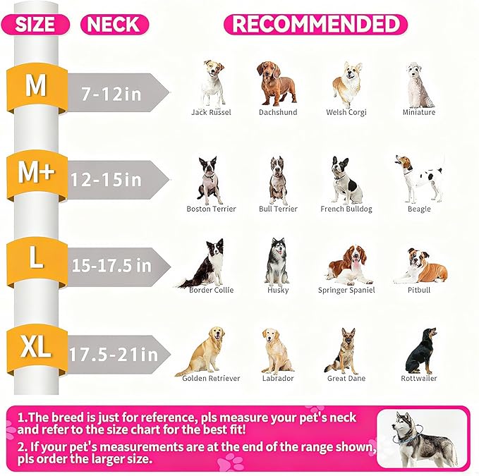 2-in-1 Soft Inflatable Dog Cone Collar Alternative with Enhanced Anti-Licking Guard Shield, Dog Collar After Surgery, Adjustable Recovery Cones for Large Medium Small Dogs and Cats (Pink, M)