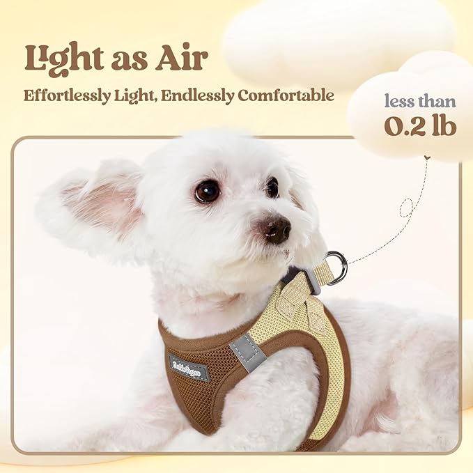 rabbitgoo Dog Harness Small Sized and Leash Set, Step in Soft Light Puppy Vest, Breathable Mesh Pet Harness, Reflective for Safe Easy Walking, Brown & Beige M