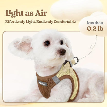 rabbitgoo Dog Harness Small Sized and Leash Set, Step in Soft Light Puppy Vest, Breathable Mesh Pet Harness, Reflective for Safe Easy Walking, Brown & Beige M