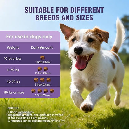 Dog Allergy Chews 200ct - Dog Allergy and Itching Skin Relief Anti Itch Aller Immune Bites for Dogs licking Paws Treatment Relief Itchy Chew Probiotics Vitamins for Skin and Coat Allergies - Lamb