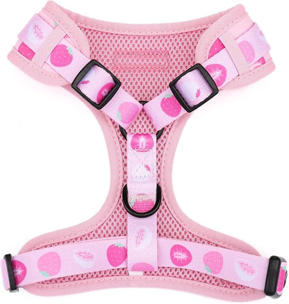 Dog Harness and Leash Set, Adjustable Dog Harness, Dog Leash, No Pull No Choke Puppy Harnesses for Walking Training for Small Medium Pet (Strawberries, M(Chest 15.7-22.1", Neck 12-15"))