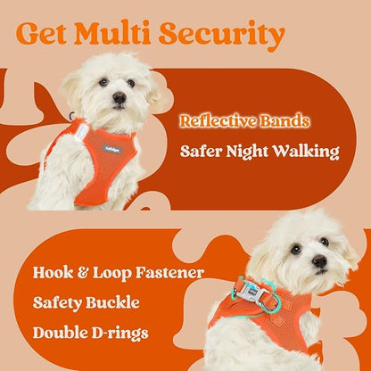 rabbitgoo Small Dog Harness, Step-in Soft Mesh Puppy Vest with Safety Buckle, Breathable Reflective Pet Harness for Extra Small Dogs, Orange XXS