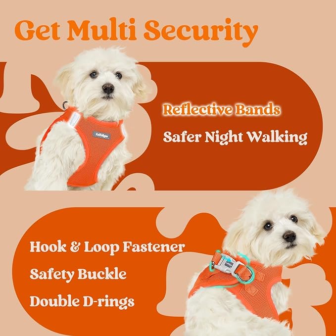rabbitgoo Small Dog Harness, Step-in Soft Mesh Puppy Vest with Safety Buckle, Breathable Reflective Pet Harness for Small Sized Dogs, Orange XS