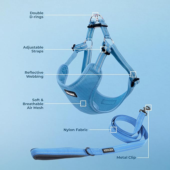 Best Pet Supplies Voyager Adjustable Step-in Flex Breathable Mesh Dog Harness for Small Medium Large Dogs Leash Set (Baby Blue), XS
