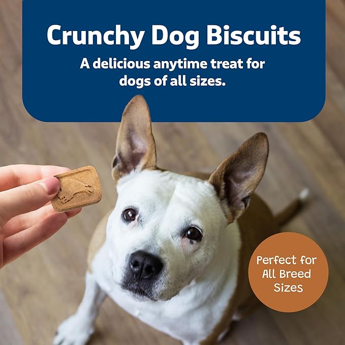 Blue Buffalo Health Bars Crunchy Dog Biscuits, Oven-Baked with Natural Ingredients, Pumpkin & Cinnamon, 16-oz Bag (Pack of 2)
