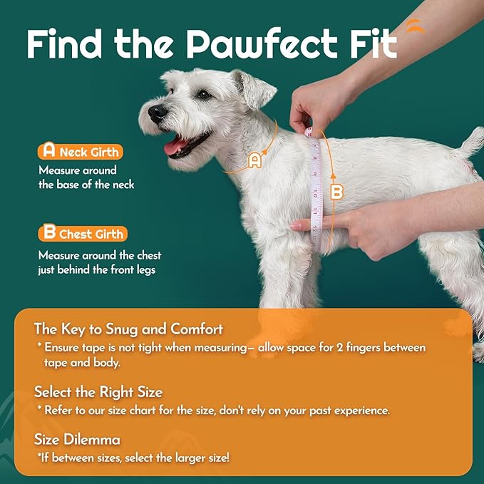 Eagloo Small Dog Harness and Leash Set, Step in Puppy Vest with Breathable Soft Mesh, Walking Reflective Pet Harness for Small Dogs, Forest Green, S