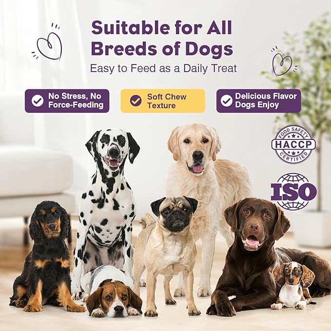 Probiotics for Dogs 200pcs Dog Probiotics for Digestive Health Digestive Enzymes and Prebiotic, Probiotic Chews for Dogs Support Gut Health, Relieve Diarrhea, Itchy Skin, Enhance Immunity