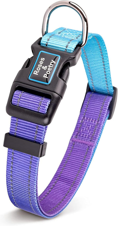 Roses&Poetry Reflective Dog Collar and Leash with Gradient Violet, Adjustable Durable Pet Collars Leash for Medium Large Dogs （Violet-M