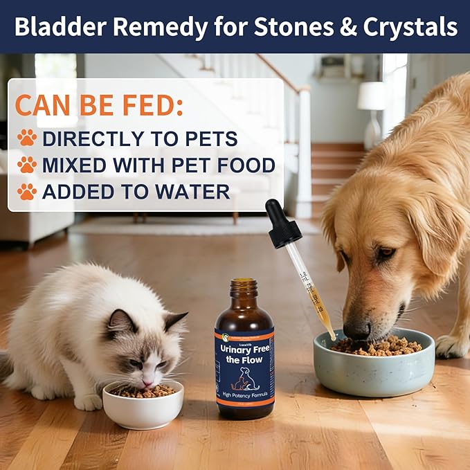 Dogs and Cats Bladder Crystals Treatment or Stone, Bladder Kidney Stones Dissolver for Pet, Cat Dog Urinary Tract Supplements for Kidney and Bladder Stones, Urinary Free The Flow, 2 fl oz, 60ml