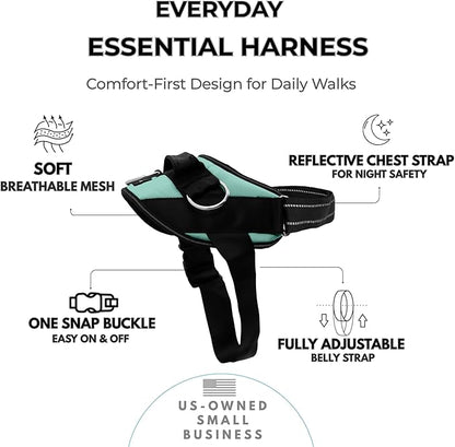ShawnCo Essential Dog Harness, No-Pull Pet Vest with 3 Leash Clips, No Choke, Reflective, Adjustable and Padded, for Easy Walking and Training for Small, Medium and Large Dogs (Seafoam, S)