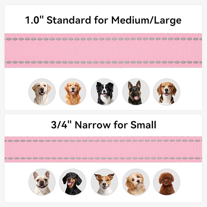 Joytale Dog Leash, 6 FT Double-Sided Reflective, Padded Handle Nylon Heavy Duty Leashes for Medium & Large Dogs Walking, Pink