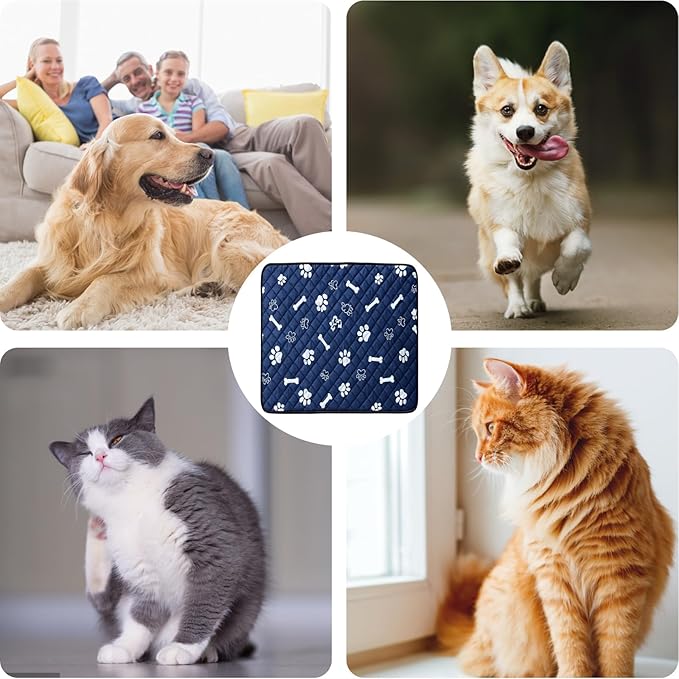 Puppy Pad with Pheromones, Training Pads for Dogs, 30x30cm Blue Bone Design, Includes 3 Random Color Bell Balls, Ideal for Puppy Potty Training, Senior Pet Care, and Travel