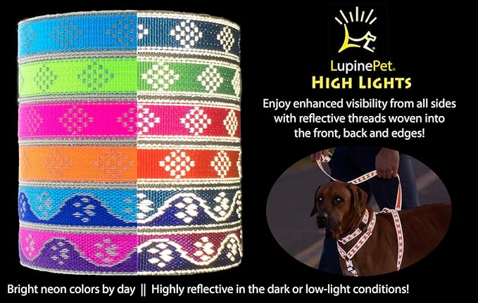 Lupine Reflective Dog Collar 3/4" Wide Blue Paws Adjusts from 13" to 22"